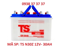Ắc quy thắp sáng TS N30Z 12V - 30AH